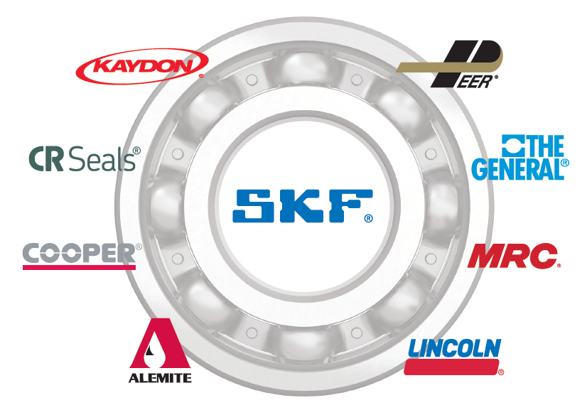 ShopIBT | SKF