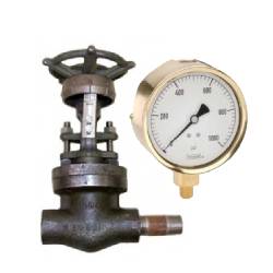 High Purity Clean Steam Products
